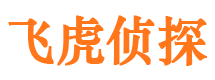 龙岩外遇出轨调查取证